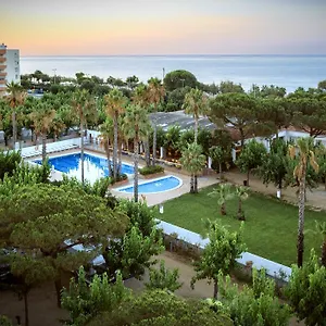 2* Campsite Bellsol